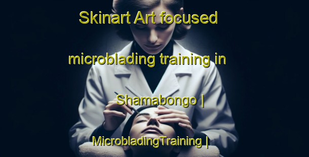 Skinart Art-focused microblading training in Shamabongo | MicrobladingTraining | MicrobladingClasses | SkinartTraining-the Democratic Republic of the Congo